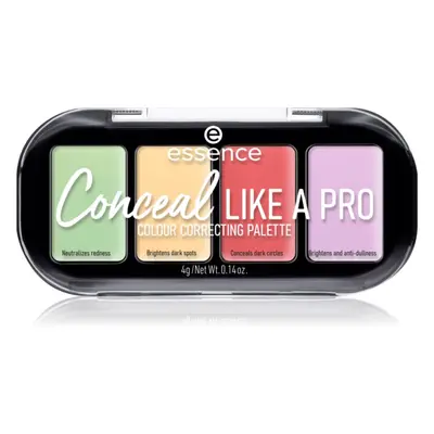 Essence CONCEAL like a PRO Concealer Palette