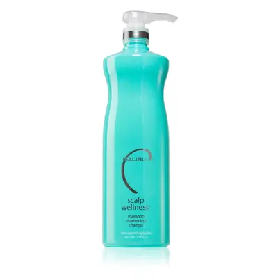 Malibu C Scalp Wellness hydratisierendes Shampoo für die gesunde Kopfhaut