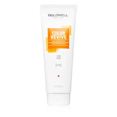 Goldwell Dualsenses Color Revive Shampoo für eine leuchtendere Haarfarbe Farbton Cool Brown