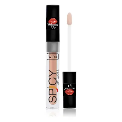 Wibo Lip Gloss Spicy Lipgloss für mehr Volumen