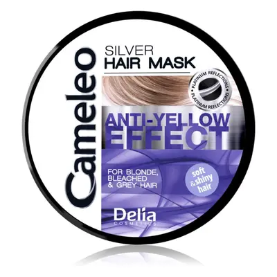 Delia Cosmetics Cameleo Silver Maske für die Haare neutralisiert gelbe Verfärbungen