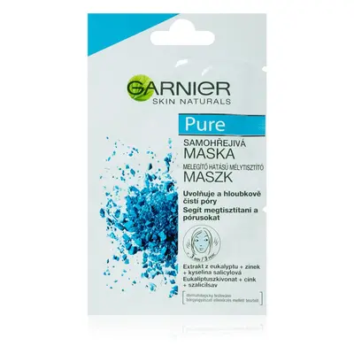 Garnier Pure Gesichtsmaske für problematische Haut, Akne