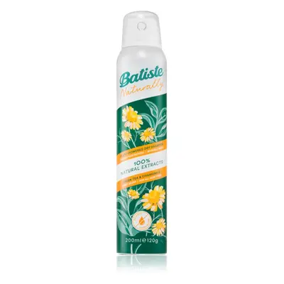 Batiste Naturally Green tea & Chamomile Trockenshampoo für die Aufnahme von überschüssigen Talg 