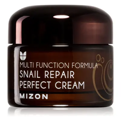 Mizon Multi Function Formula Snail Hautcreme mit Filtrat aus Schneckensekret 60%