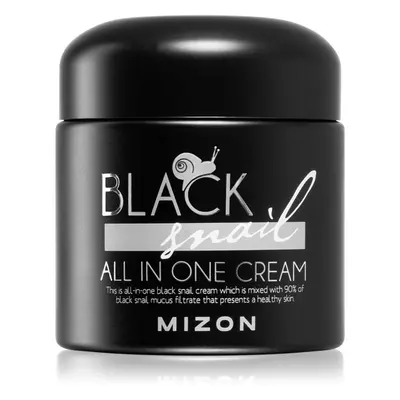 Mizon Black Snail All in One Hautcreme mit Filtrat aus Schneckensekret 90%