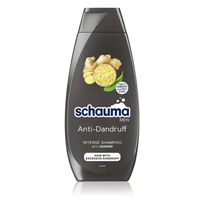 Schwarzkopf Schauma Anti-Dandruff Shampoo gegen Schuppen mit Ingwer für Herren