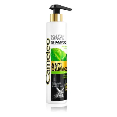 Delia Cosmetics Cameleo BB Shampoo mit Keratin für beschädigtes Haar