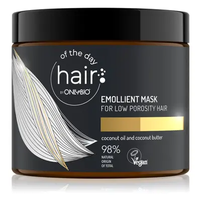 OnlyBio Hair Of The Day Hydratisierende Maske für gesunde und schöne Haare