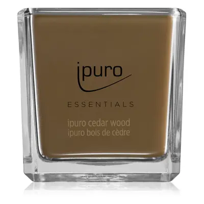 ipuro Essentials Cedar Wood Duftkerze