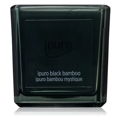 ipuro Essentials Black Bamboo Duftkerze