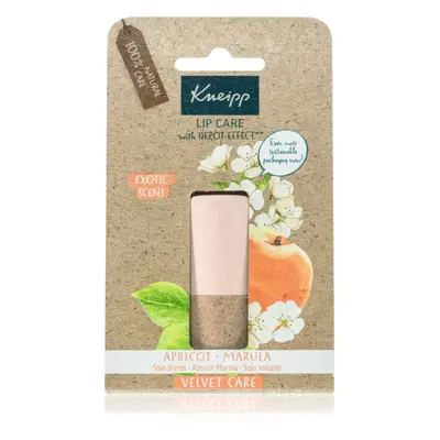 Kneipp Apricot & Marula Lippenbalsam