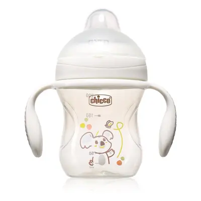 Chicco Transition Cup 4m+ Trainingsbecher mit Griffen Teal