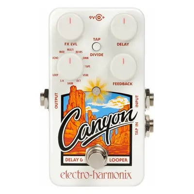 Electro Harmonix Canyon Gitarreneffekt