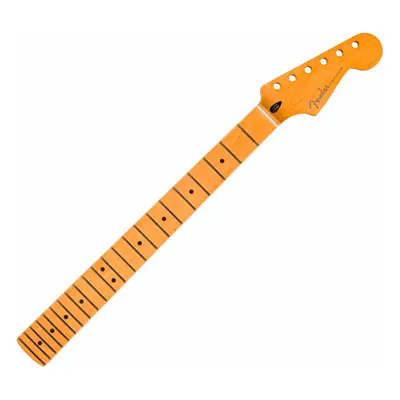 Fender Player Plus Hals für Gitarre