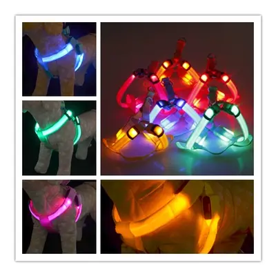 Reedog Leuchtgeschirre für Hunde und Katzen - Modrá