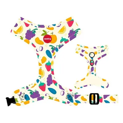 Geschirr Reedog FRUIT