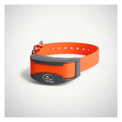 SportDOG® Halsband und Empfänger für kleine Hunde