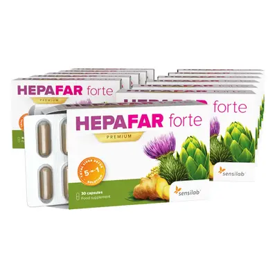 12x Hepafar Forte PREMIUM Mariendistel-Kapseln [6-Monatspaket]