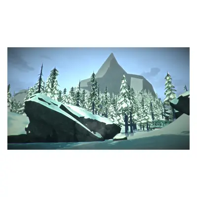 The Long Dark Survival Edition Steam CD Key