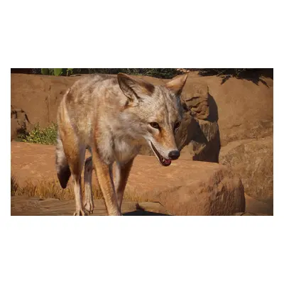 Planet Zoo: Americas Animal Pack Europe Steam CD Key