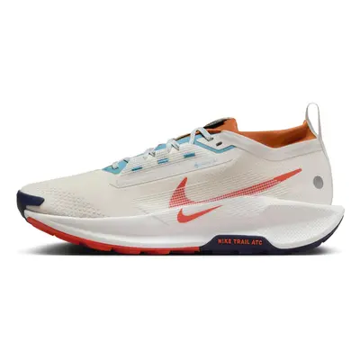 Nike Pegasus Trail 5 GTX