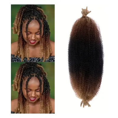 TEMU Inch Ombre Hair Extensions Pack Afro Kinky Bulk Hair Bundles Pre-separated Twist Braiding H