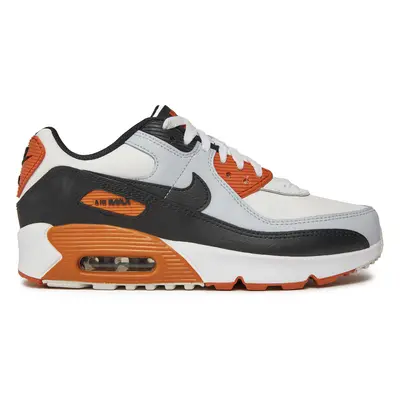 Sneakers Nike Air Max 90 LTR (GS) CD6864 023 Weiß