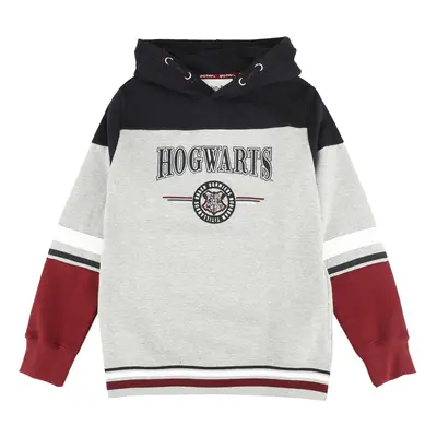 Harry Potter Kids - Hogwarts - England Made Kapuzenpullover multicolor in