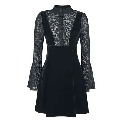 Banned Alternative Velvet and Lace Kurzes Kleid schwarz in