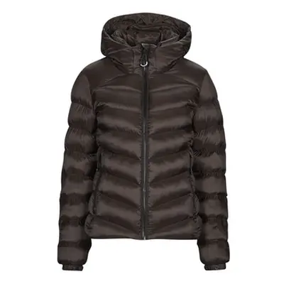 Superdry Daunenjacken HOODED FUJI PADDED JACKET