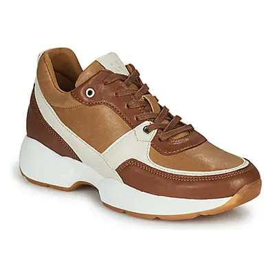 Dream in Green Sneaker AGAPANTHE