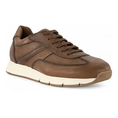 LLOYD Herren Sneaker braun Glattleder