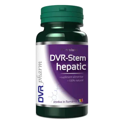 DVR-Leberstamm, Kapseln, DVR Pharm