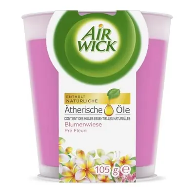 Air Wick, duftender Kranz mit Blumen, 105g