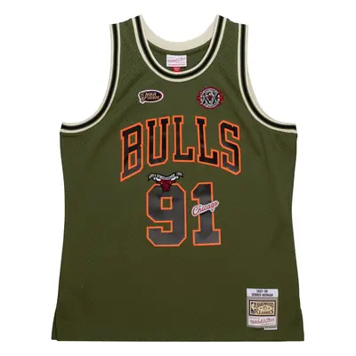 Nba trikot Chicago Bulls Dennis Rodman