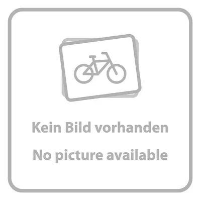 Truvativ Kranz 30T 3-Gang 74mm aus grauem Aluminium