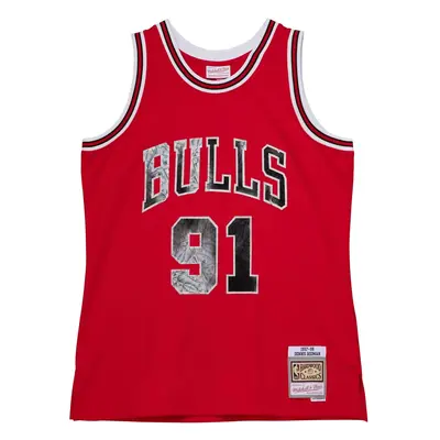 Nba trikot Chicago Bulls Dennis Rodman