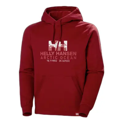 Hoodie Helly Hansen arctic ocean