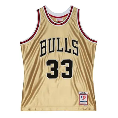 Nba trikot Chicago Bulls Scottie Pippen