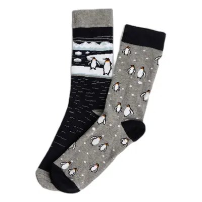 Socken Admas Ice Walker Medium (x6)