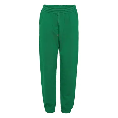 Jogginghose Colorful Standard Organic kelly green