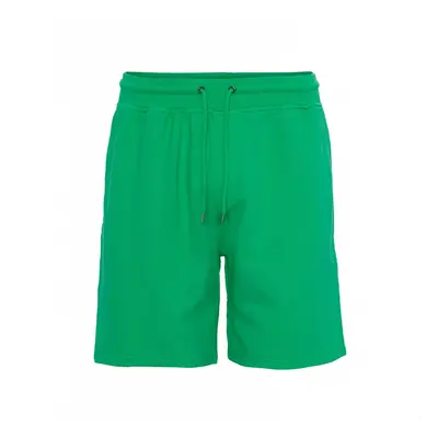 Shorts Colorful Standard Classic Organic kelly green