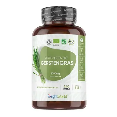 Bio Gerstengras Kapseln 500mg (240 St.) – Energie & Verdauung WeightWorld