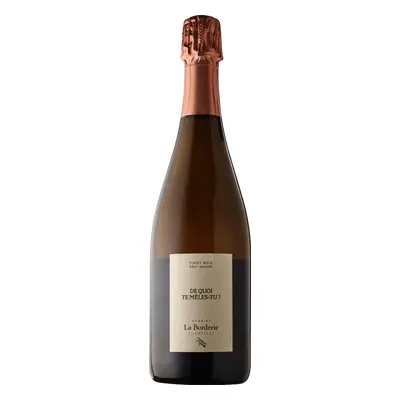 Champagne Domaine la Borderie De Quoi Te Meles Tu Blanc de Noirs Extra Brut