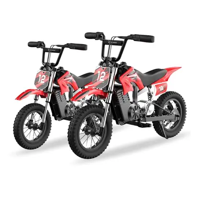 Isinwheel A12 Elektrisches Dirt Bike für Kinder 36V 350W