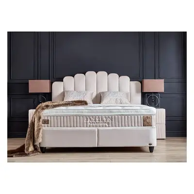 Boxspringbett Jazzlyn inklusive Matratzen Topper & Bettkasten Beige Luxus-Mikrofaser