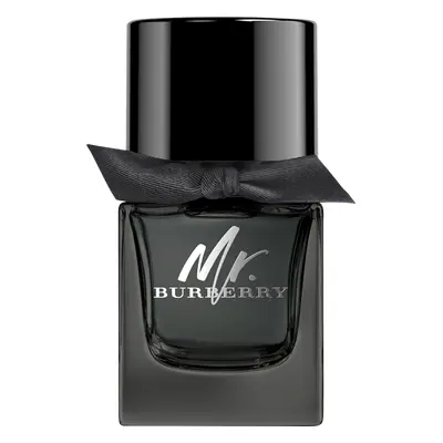 Burberry Mr. Burberry EdP Nat. Spray