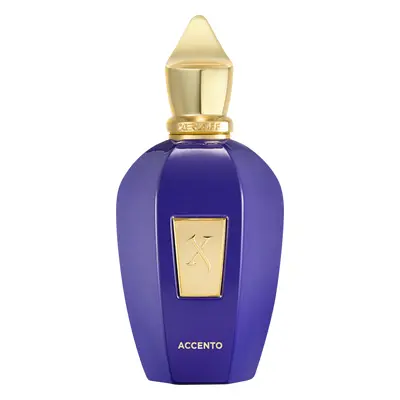 Xerjoff Xerjoff Vibe Accento EdP Nat. Spray