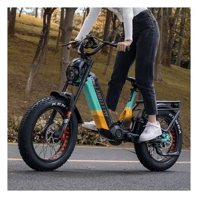 Lankeleisi RX800 Plus 1000W 20" Fat Bike Fully E-Mountainbike 48V 20Ah Samsung Akku E-MTB-Green