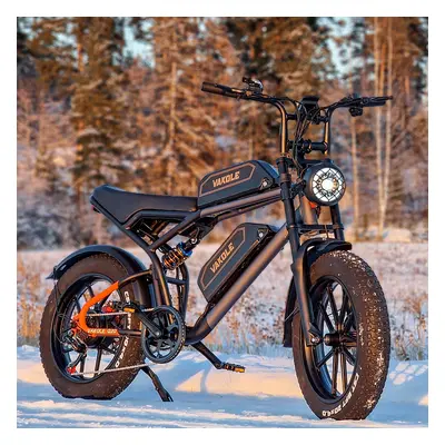 Vakole Q20 750W 20" Fat Bike E-Mountainbike Fully mit 20Ah*2 Dual Samsung Akkus E-MTB-Gray